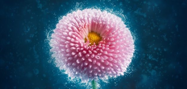 Effective Health Communication